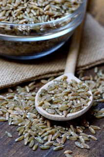 Unripe spelt grain