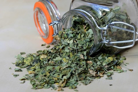 Dried Moringa leaves
