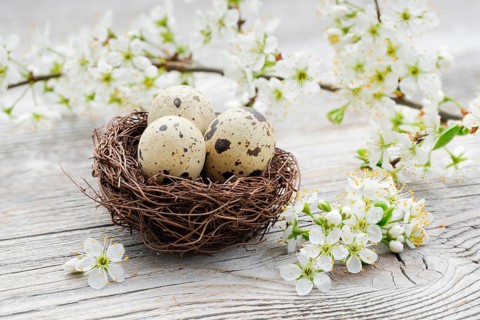 Easter decoration