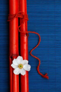 Chinese Anemone