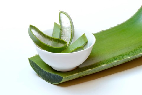 Aloe leaf slices in small bowls and cut leaf