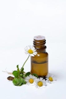 Daisy blossoms and daisy tincture in drop bottle