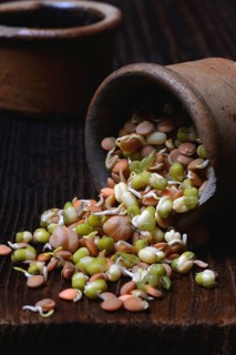 Mixed sprouts of lentils