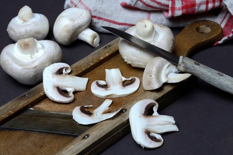 Mushroom