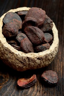 Kola nuts