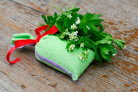 Real Galium odoratum