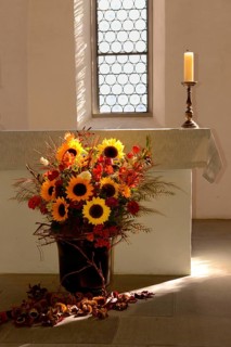 Flowers in vase