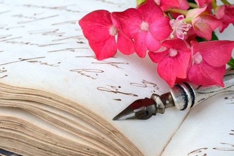 Penholder with quill on book with old manuscript and hydrangea blossom