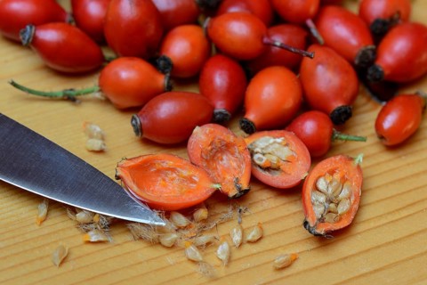 Rosehips with knife point