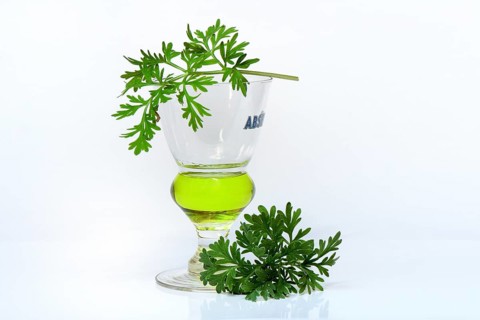 Glass of absinthe with wormwood