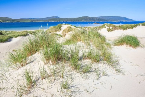 Sandy beach beach on the north coast