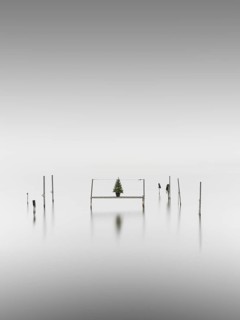 Footbridge with a fir tree in a pot at fog in the Kleiner Schwielochsee