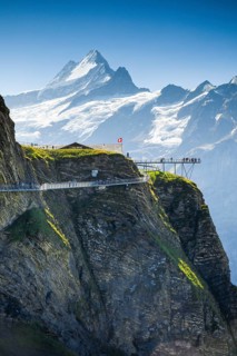 Schreckhorn