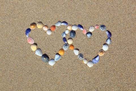 Shells forming double heart shape