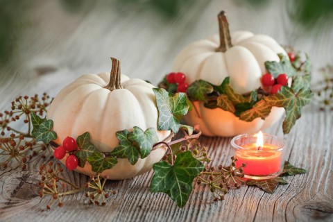Autumnal decoration