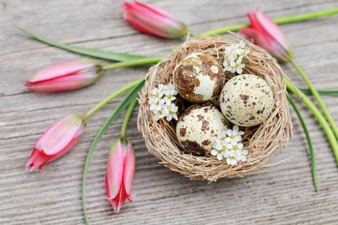 Natural Easter Decoration