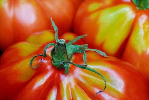 Ox heart