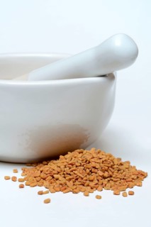 Fenugreek