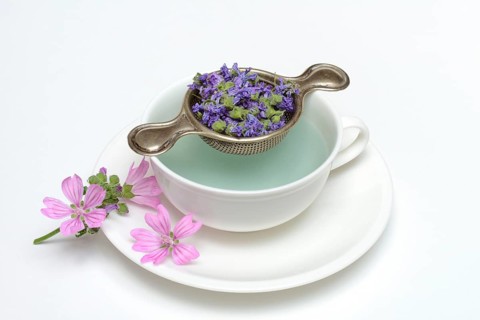 Mallow tea