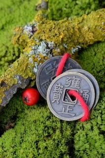 Chinese lucky coins in moss and twig with lichen
