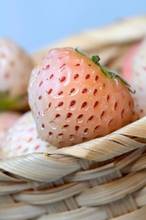 White strawberries in basket