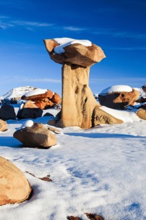 Bisti Badlands