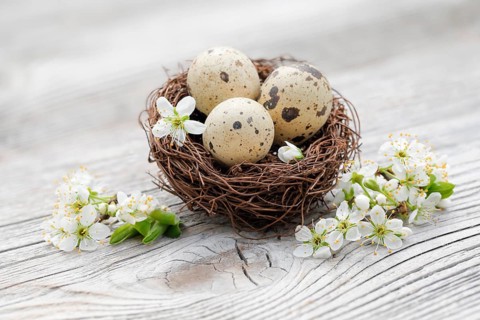 Easter decoration