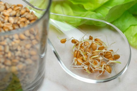 Wheatgerms