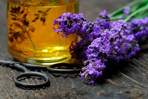Lavender oil