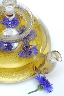 Cornflowerstea