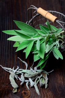Sage