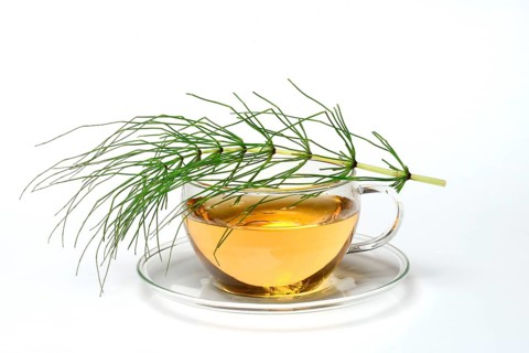 Cup of horsetail tea