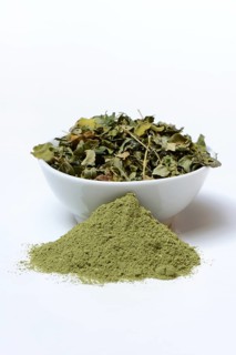 Moringa powder and Moringa leaves in a bowl