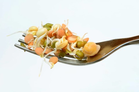 Mixed sprouts of lentils