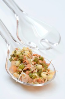 Mixed sprouts of lentils