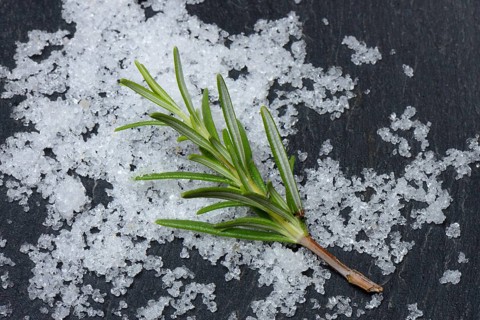 Sea salt and rosemary twig