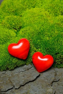 Hearts on moss cushion