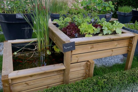 Raised bed with water basin
