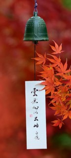 Japanese wind bell and maple leaves in autumn colours