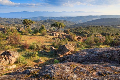 Typical landscape in the Sierra de Andujar National Park