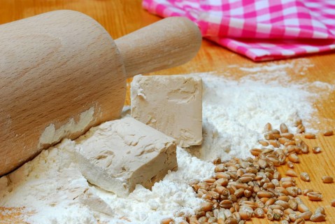 Baker's yeast