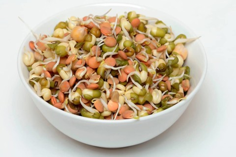 Mixed sprouts of lentils