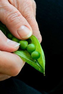 Opening a Peaspod