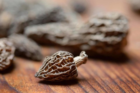 Dried morels