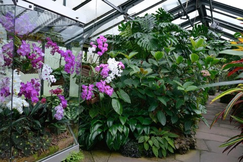 Tropical House