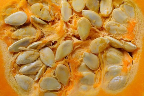 Pumpkin seeds