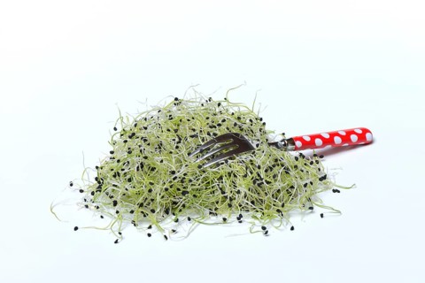Onion sprouts with fork