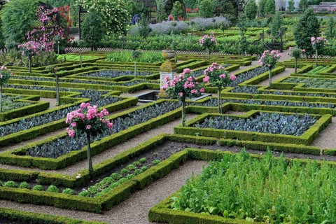Vegetable garden of Villandry Castle