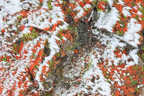 Snowdrifts Detail