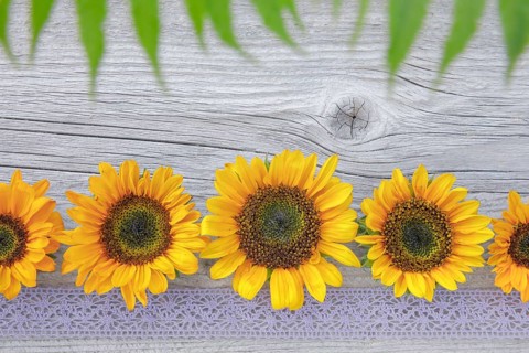 Sunflowers decoration on wood